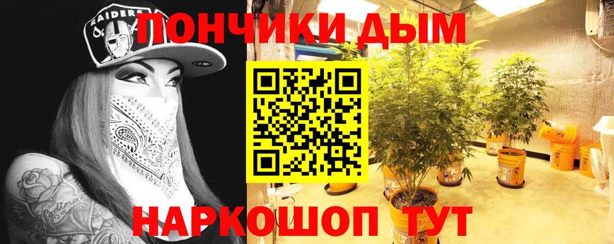 Каннабис тримм  Канабис White Widow  Каспийск  Вход с VPN  Бошки Шишки конопля 